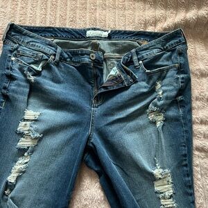 Torrid Denim Two-Tone Blue Jeans